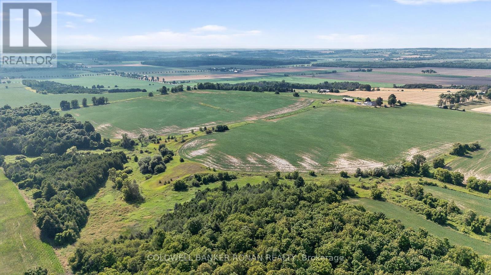 4495 Line 11, Bradford West Gwillimbury, Ontario  L0L 1L0 - Photo 11 - N12836026