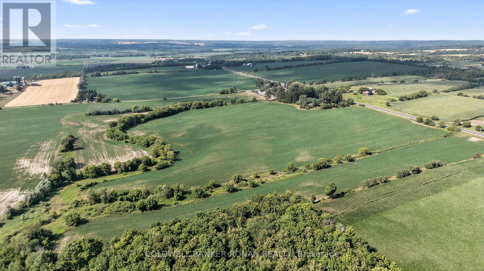 4495 Line 11, Bradford West Gwillimbury, Ontario  L0L 1L0 - Photo 12 - N12836026