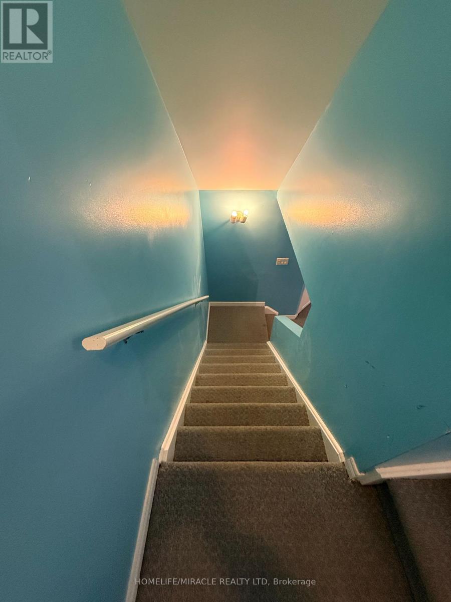 137 Pressed Brick Drive, Brampton, Ontario  L6V 4K5 - Photo 25 - W12836204