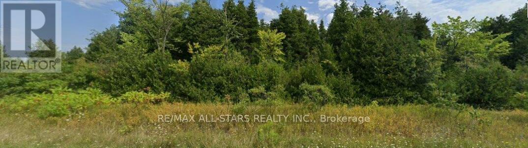 950 Concession 5, Brock (Beaverton), Ontario  L0K 1A0 - Photo 4 - N12836274