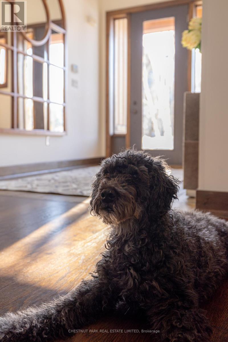 146 National Drive, Blue Mountains, Ontario  L9Y 0B7 - Photo 17 - X12836496