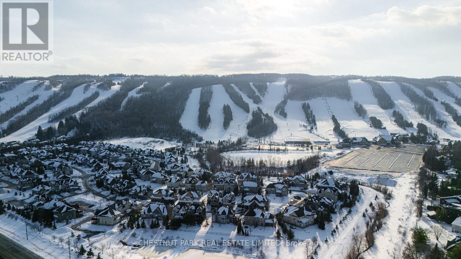 146 National Drive, Blue Mountains, Ontario  L9Y 0B7 - Photo 43 - X12836496