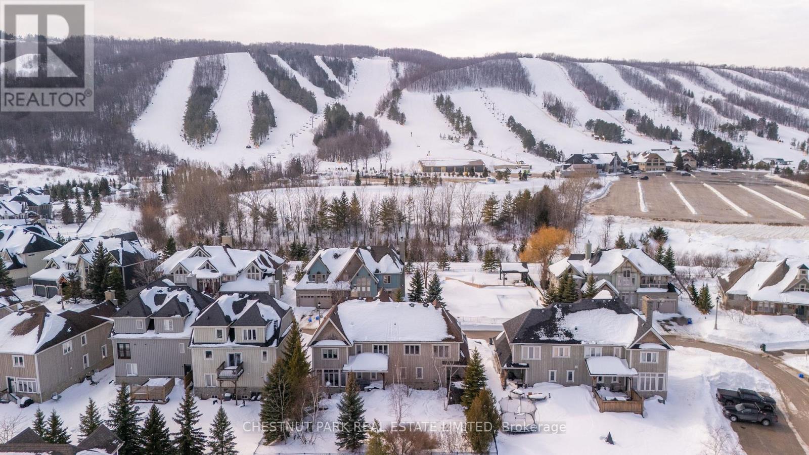 146 National Drive, Blue Mountains, Ontario  L9Y 0B7 - Photo 49 - X12836496