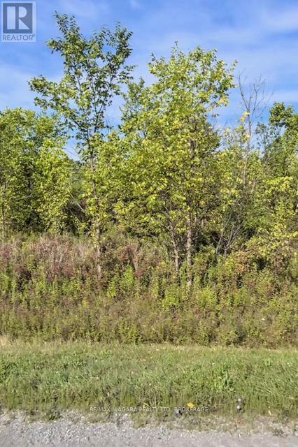 Lot 3 Montrose Road, Niagara Falls, Ontario  L3B 5N7 - Photo 1 - X12828828