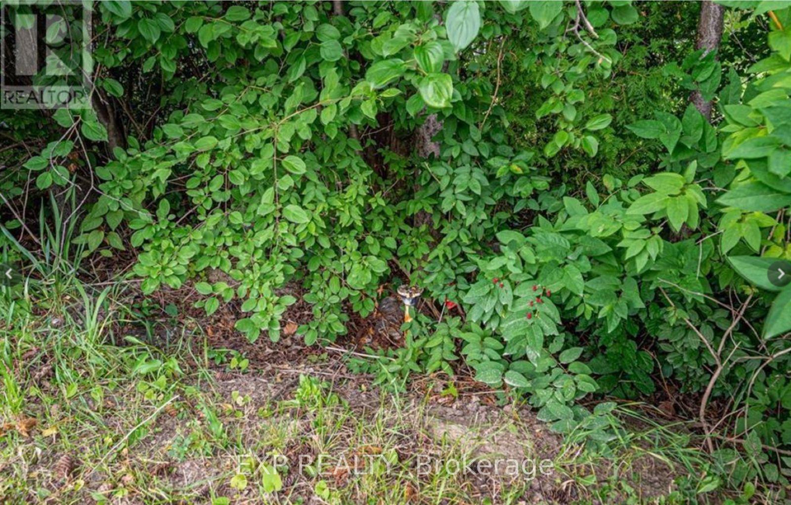 879 West 5th Street, Hamilton, Ontario  L9C 5R4 - Photo 8 - X12836686