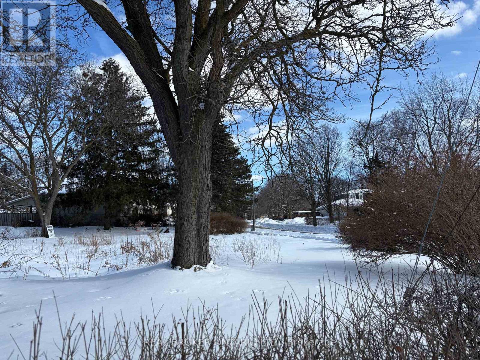 6 Sherwood Drive, Guelph, Ontario  N1E 1R6 - Photo 10 - X12836738