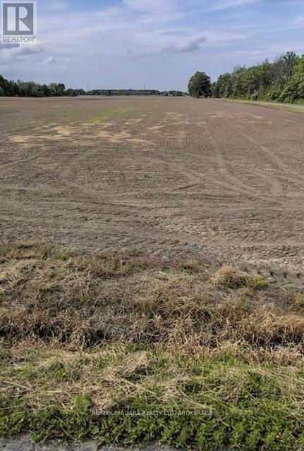 Pt 17 Crown Road, West Lincoln (Bismark/wellandport), Ontario  L0R 2A0 - Photo 2 - X12836820