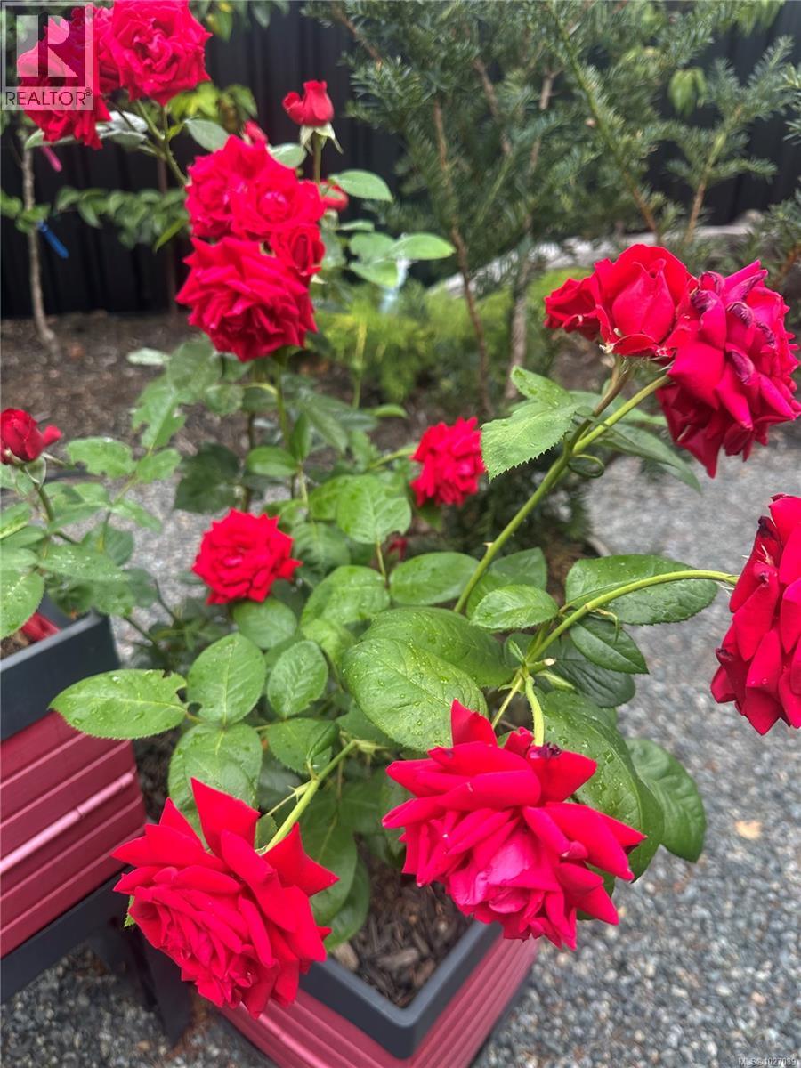 1966 Camas Rd, Nanaimo, British Columbia  V9R 0G9 - Photo 43 - 1027089