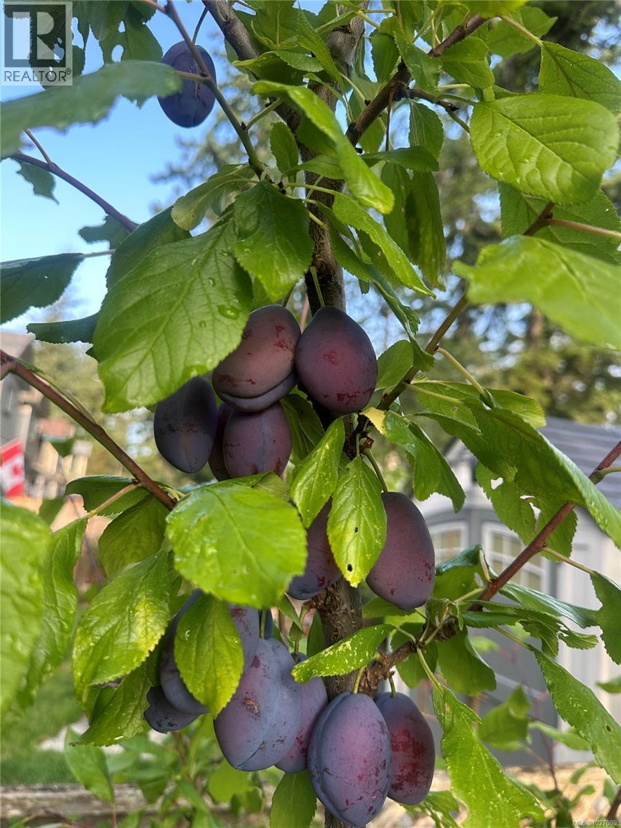 1966 Camas Rd, Nanaimo, British Columbia  V9R 0G9 - Photo 58 - 1027089