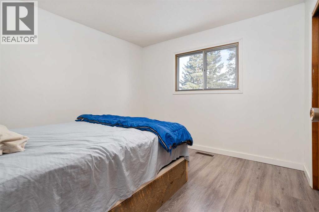 5316 55 Avenue, Viking, Alberta  T0B 4N0 - Photo 11 - A2289903