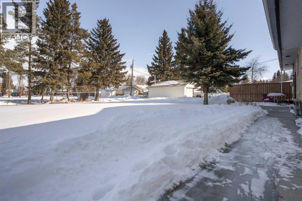 5316 55 Avenue, Viking, Alberta  T0B 4N0 - Photo 26 - A2289903
