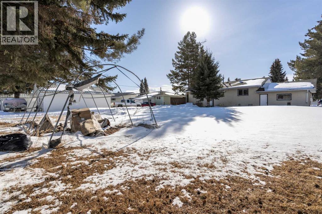 5316 55 Avenue, Viking, Alberta  T0B 4N0 - Photo 27 - A2289903