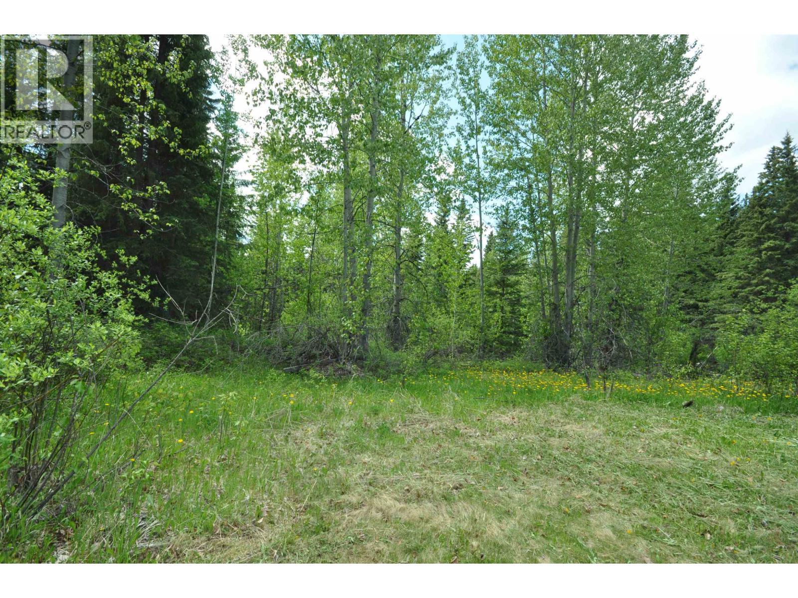 5065 Cave Road, Horsefly, British Columbia  V2G 4T5 - Photo 2 - R3095140