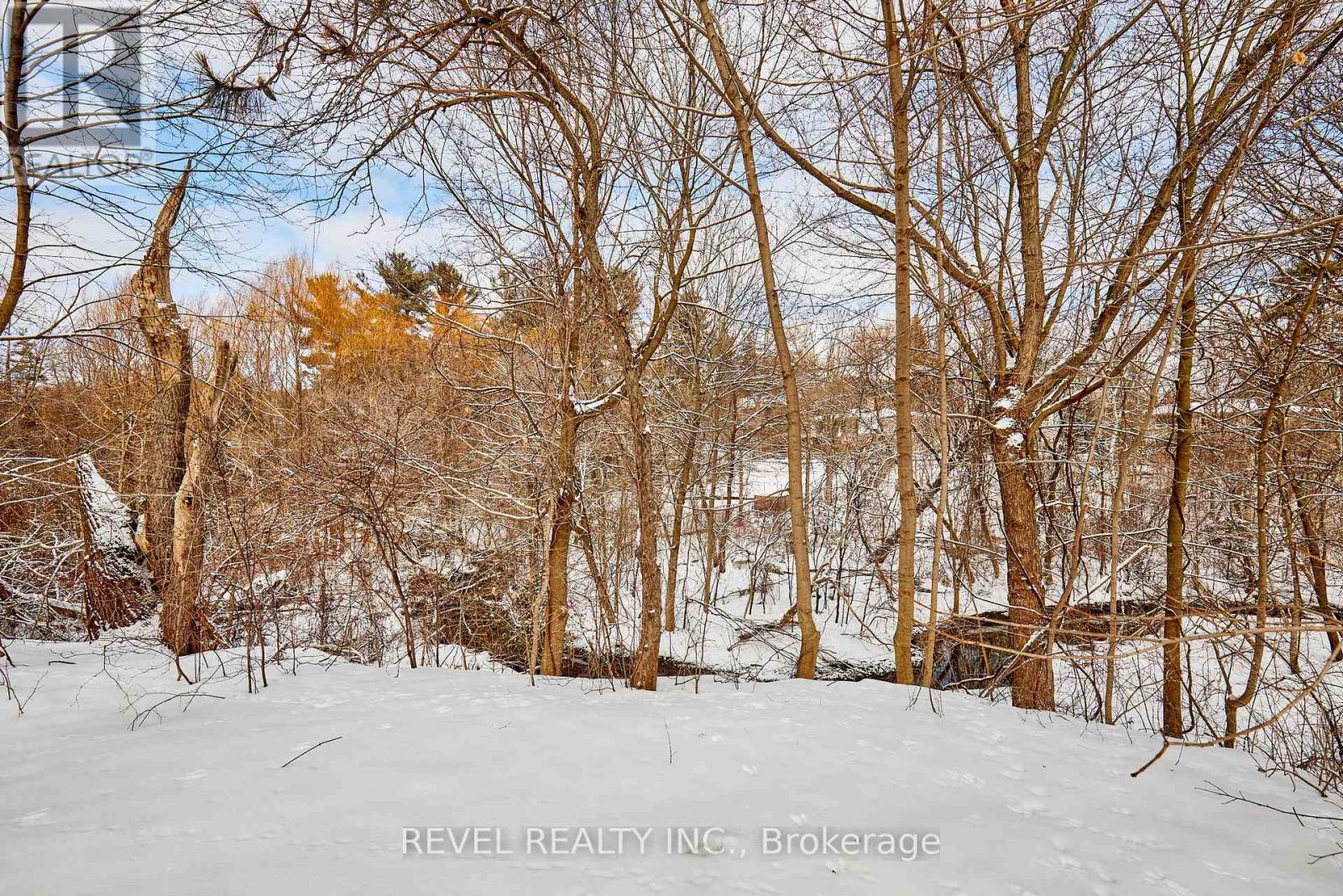 124 Forest Heights Boulevard, Toronto, Ontario  M2L 2K8 - Photo 3 - C12836894