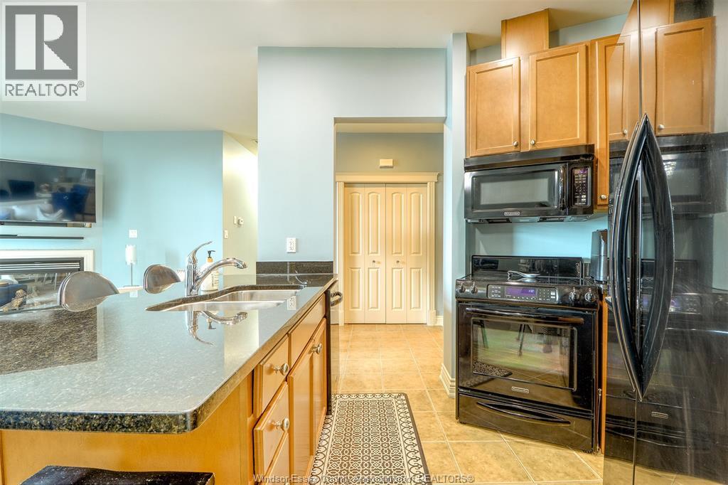 1225 Riverside Drive West Unit# 409, Windsor, Ontario  N9A 0A2 - Photo 14 - 26003822