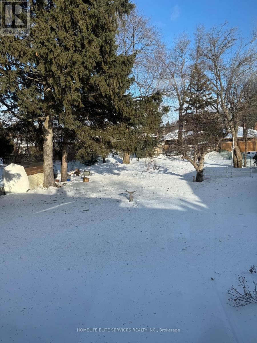 81 Wayne Avenue, Toronto, Ontario  M1R 1Y4 - Photo 25 - E12836174