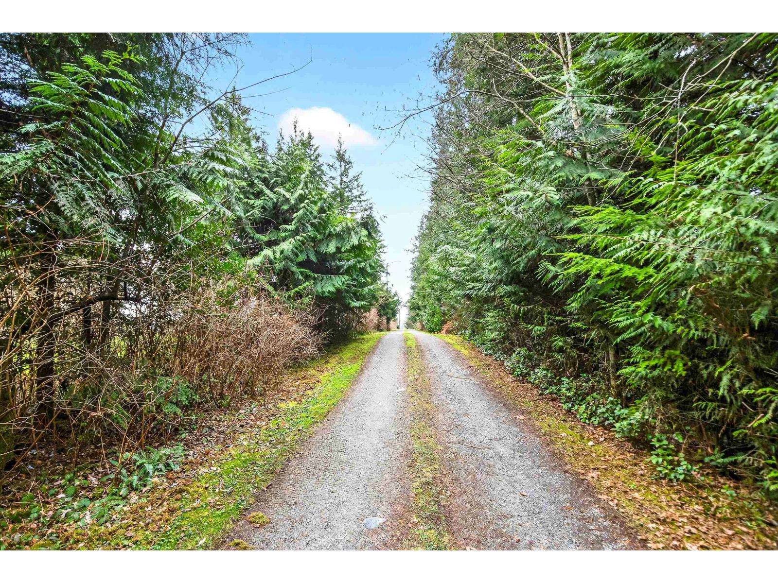 29907 Dewdney Trunk Road, Mission, British Columbia  V4S 1B7 - Photo 2 - R3094984