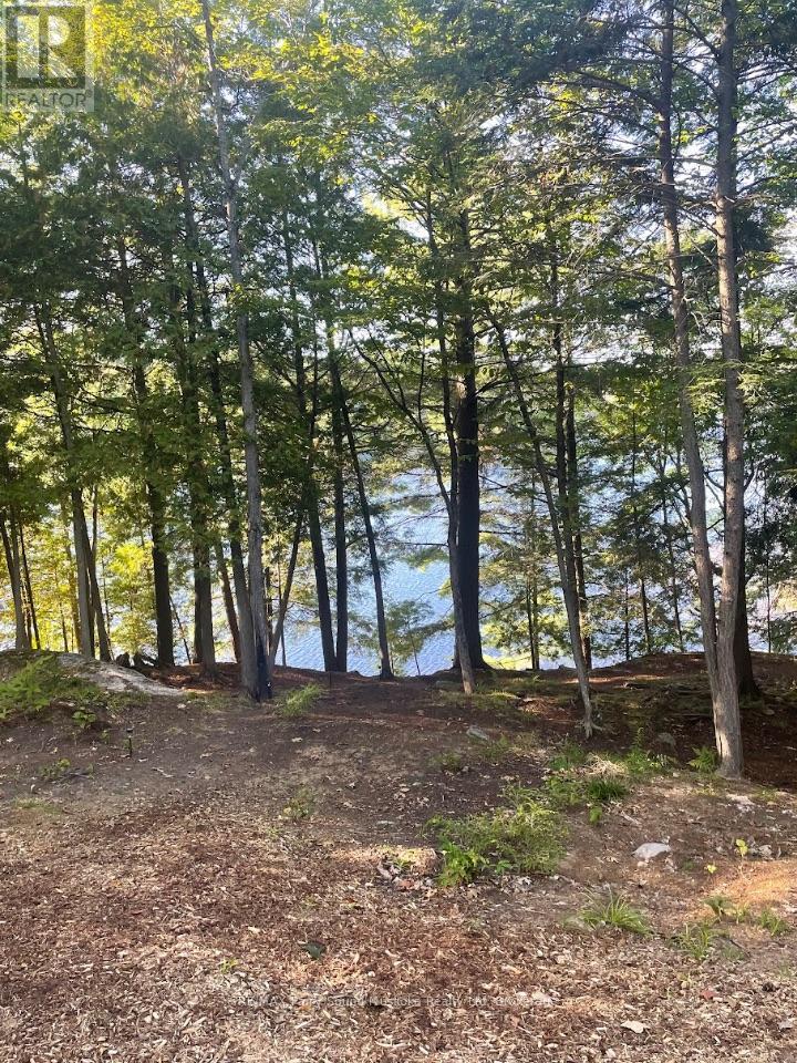 110d Louisa Street, Parry Sound, Ontario  P2A 2V3 - Photo 12 - X12837130