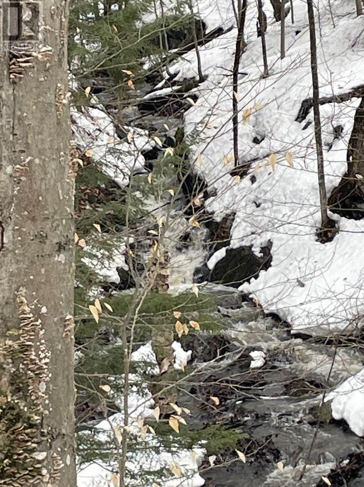 110d Louisa Street, Parry Sound, Ontario  P2A 2V3 - Photo 24 - X12837130