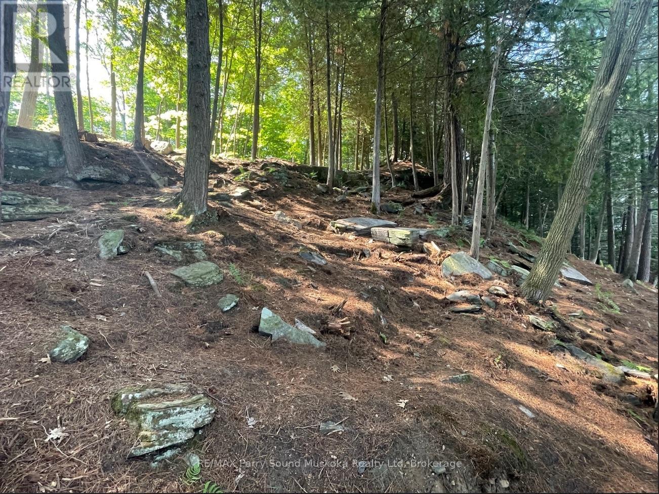 110d Louisa Street, Parry Sound, Ontario  P2A 2V3 - Photo 9 - X12837130