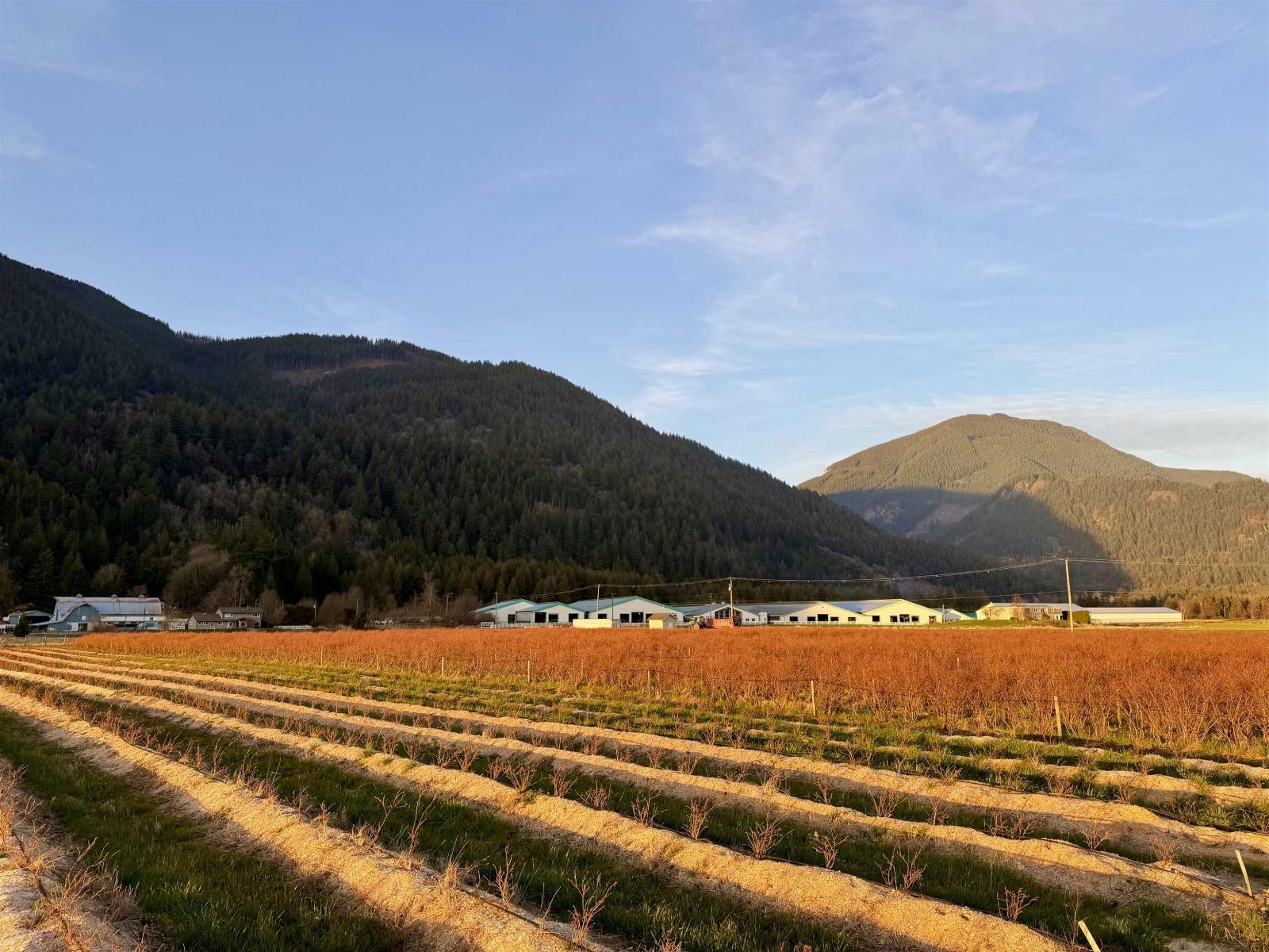 9445 Catherwood Road, Mission, British Columbia  V0M 1H0 - Photo 4 - R3094105