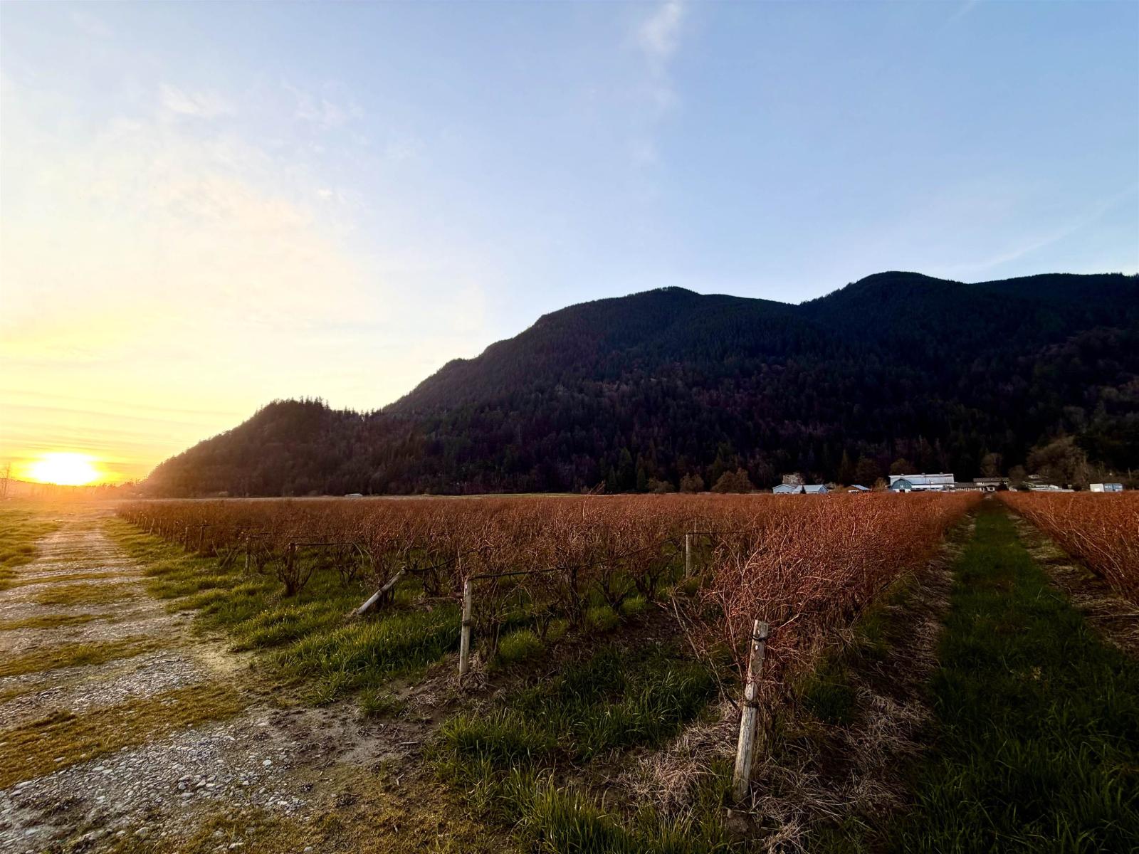 9445 Catherwood Road, Mission, British Columbia  V0M 1H0 - Photo 2 - R3094105