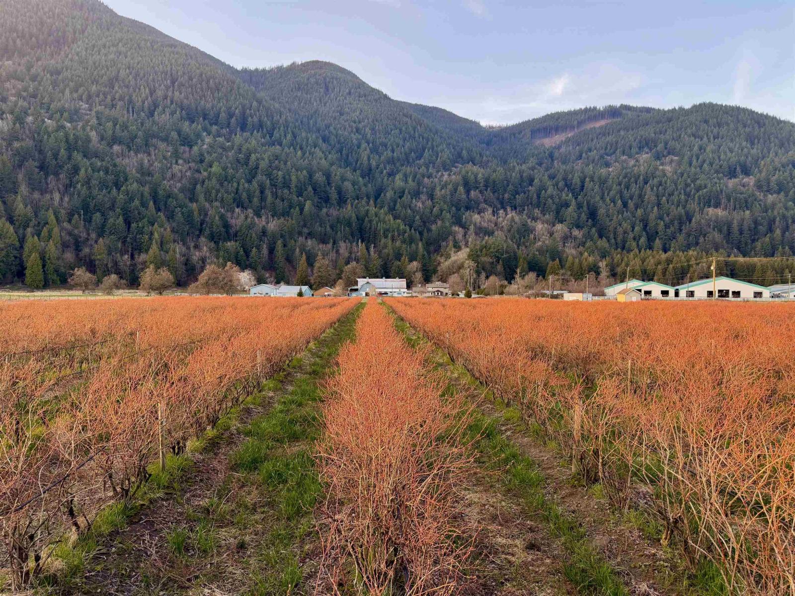 9445 Catherwood Road, Mission, British Columbia  V0M 1H0 - Photo 5 - R3094105