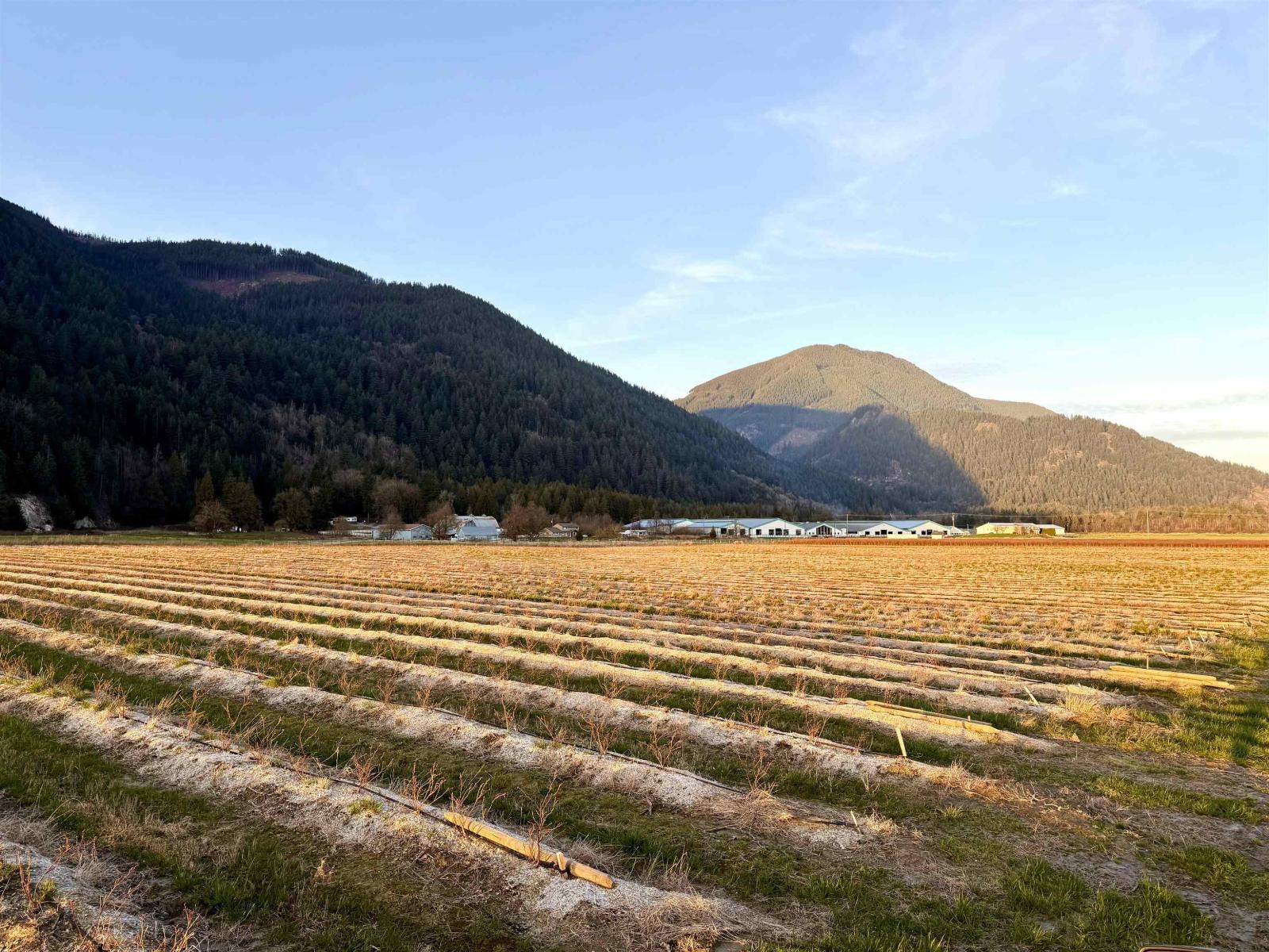 9445 Catherwood Road, Mission, British Columbia  V0M 1H0 - Photo 3 - R3094105