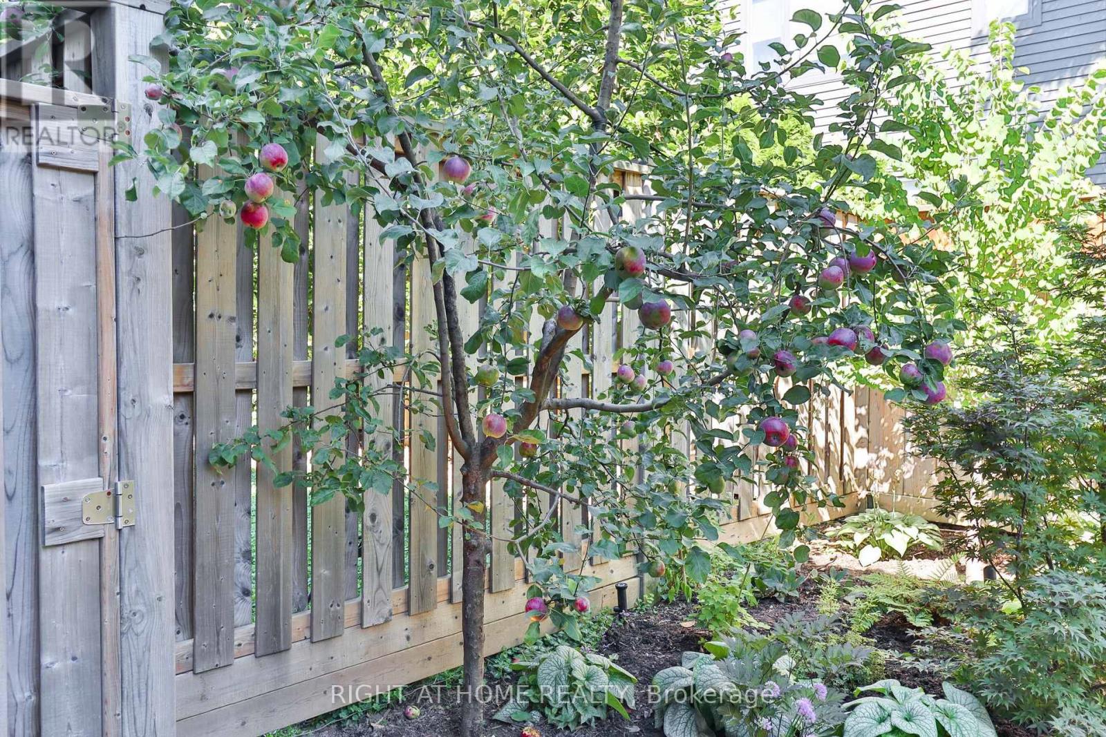 18 Mitchell Avenue, Toronto, Ontario  M6J 1B9 - Photo 9 - C12837568