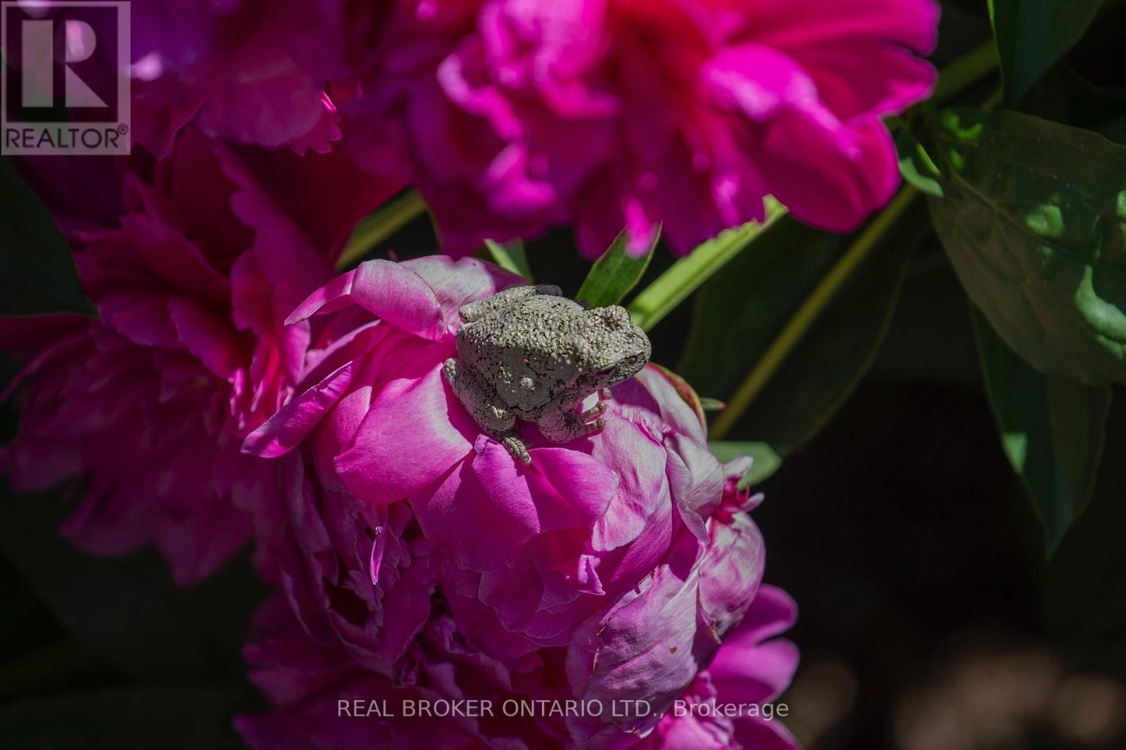 2952 Powerline Road W, Hamilton, Ontario  L0R 1T0 - Photo 41 - X12837602