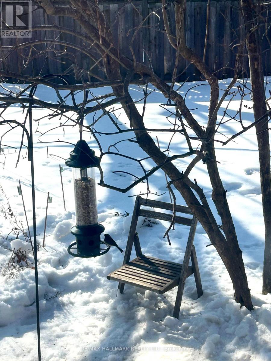 18 Fairside Avenue, Toronto, Ontario  M4C 3G9 - Photo 20 - E12837528