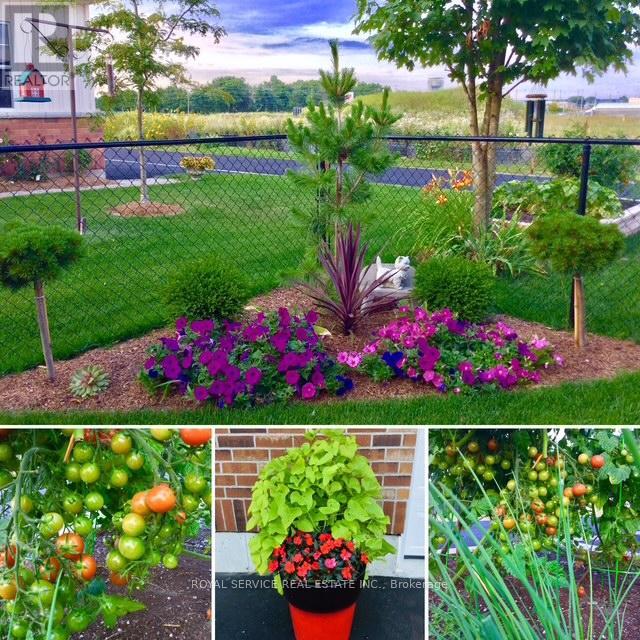 844 Wilkins Gate, Cobourg, Ontario  K9A 0C1 - Photo 27 - X12832968