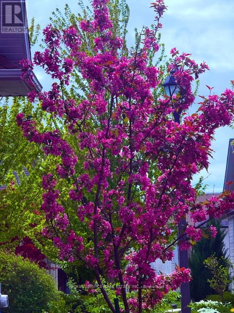 844 Wilkins Gate, Cobourg, Ontario  K9A 0C1 - Photo 29 - X12832968