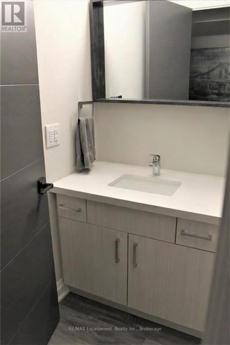 60 Park Avenue, St. Catharines, Ontario  L2P 1R2 - Photo 16 - X12820512