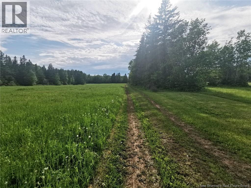 420 Principale, Petit-Rocher, New Brunswick  E9J 1N8 - Photo 16 - NB134387