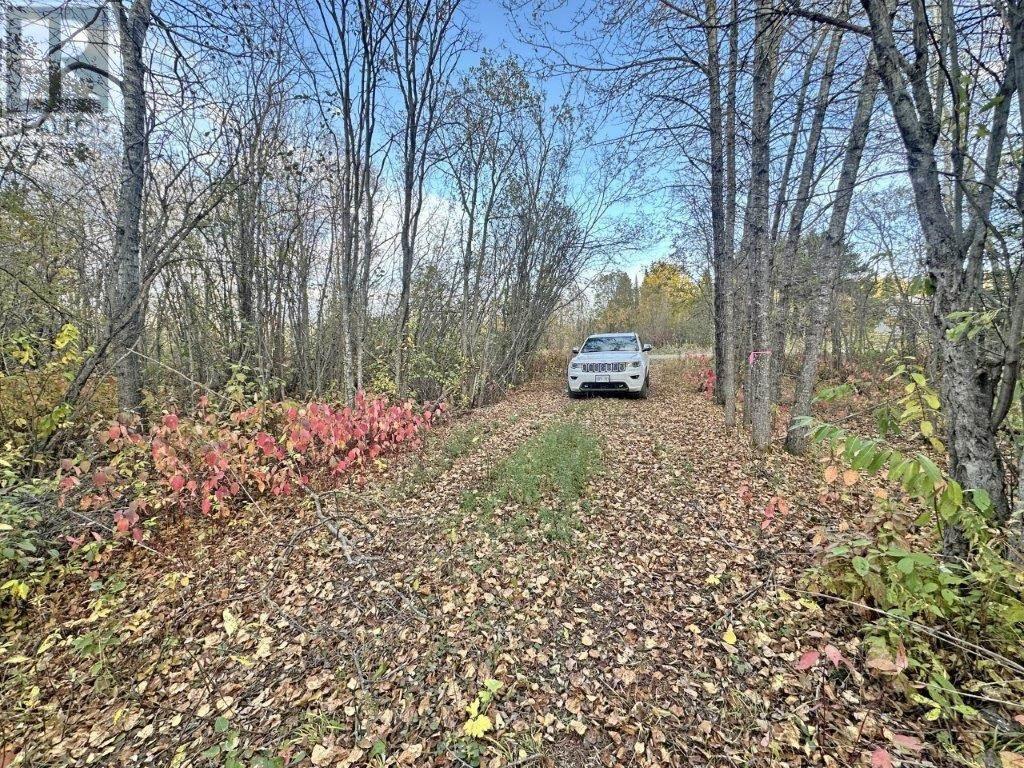 Pcl 19303 Sovereign Road, Kakabeka Falls, Ontario  P0T 1W0 - Photo 2 - TB2600337