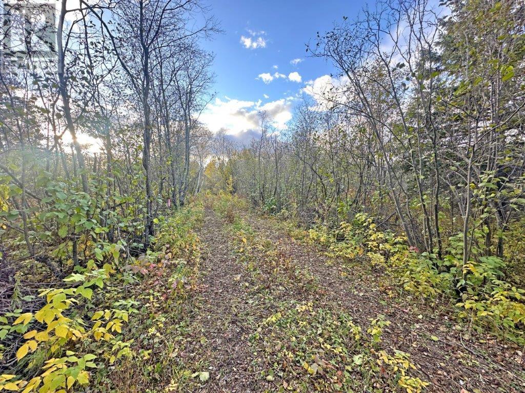 Pcl 19303 Sovereign Road, Kakabeka Falls, Ontario  P0T 1W0 - Photo 3 - TB2600337