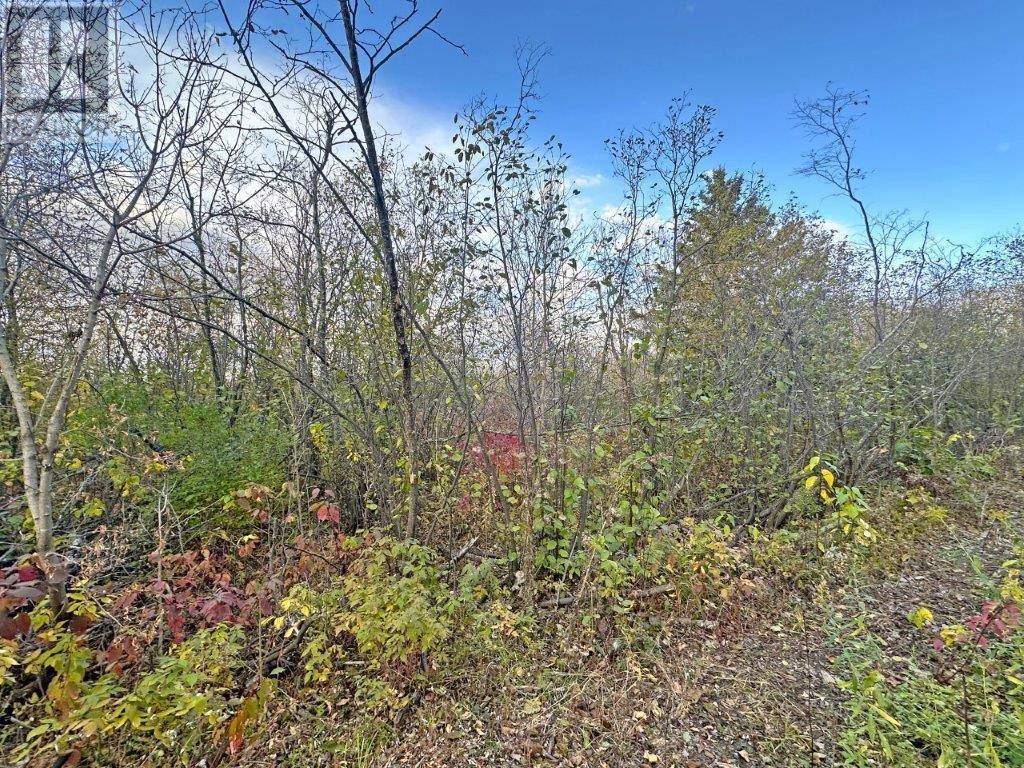 Pcl 19303 Sovereign Road, Kakabeka Falls, Ontario  P0T 1W0 - Photo 4 - TB2600337