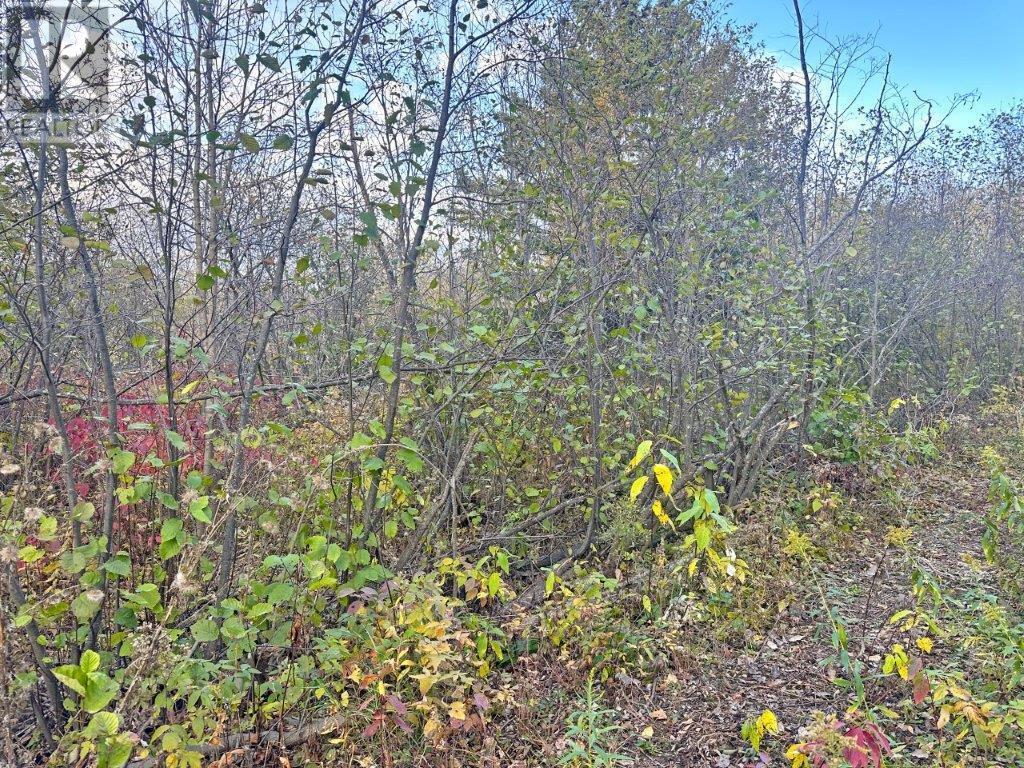 Pcl 19303 Sovereign Road, Kakabeka Falls, Ontario  P0T 1W0 - Photo 6 - TB2600337