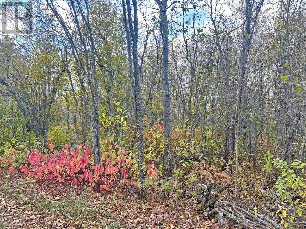 Pcl 19303 Sovereign Road, Kakabeka Falls, Ontario  P0T 1W0 - Photo 7 - TB2600337