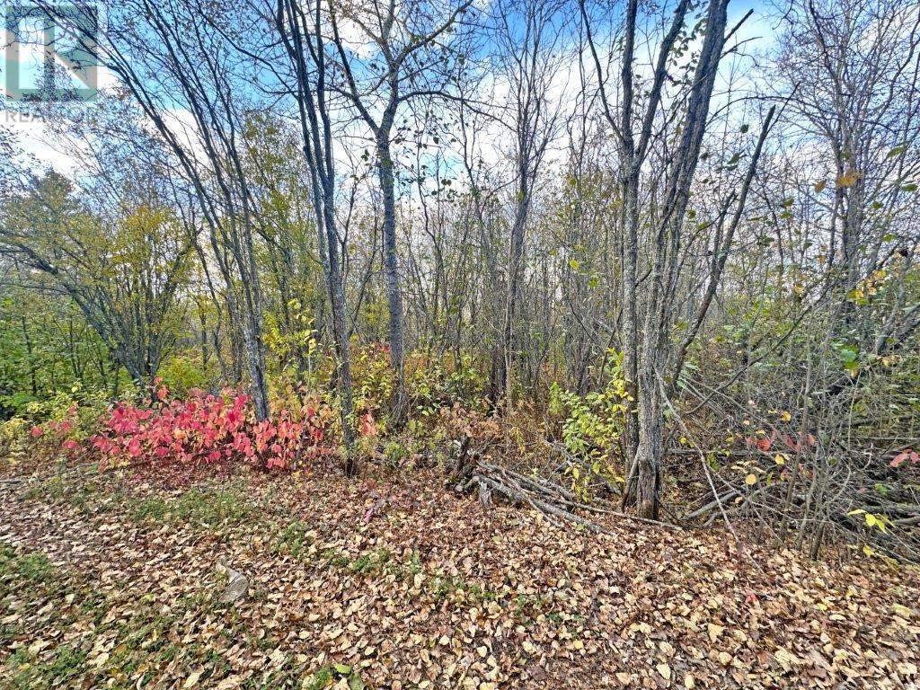 Pcl 19303 Sovereign Road, Kakabeka Falls, Ontario  P0T 1W0 - Photo 8 - TB2600337