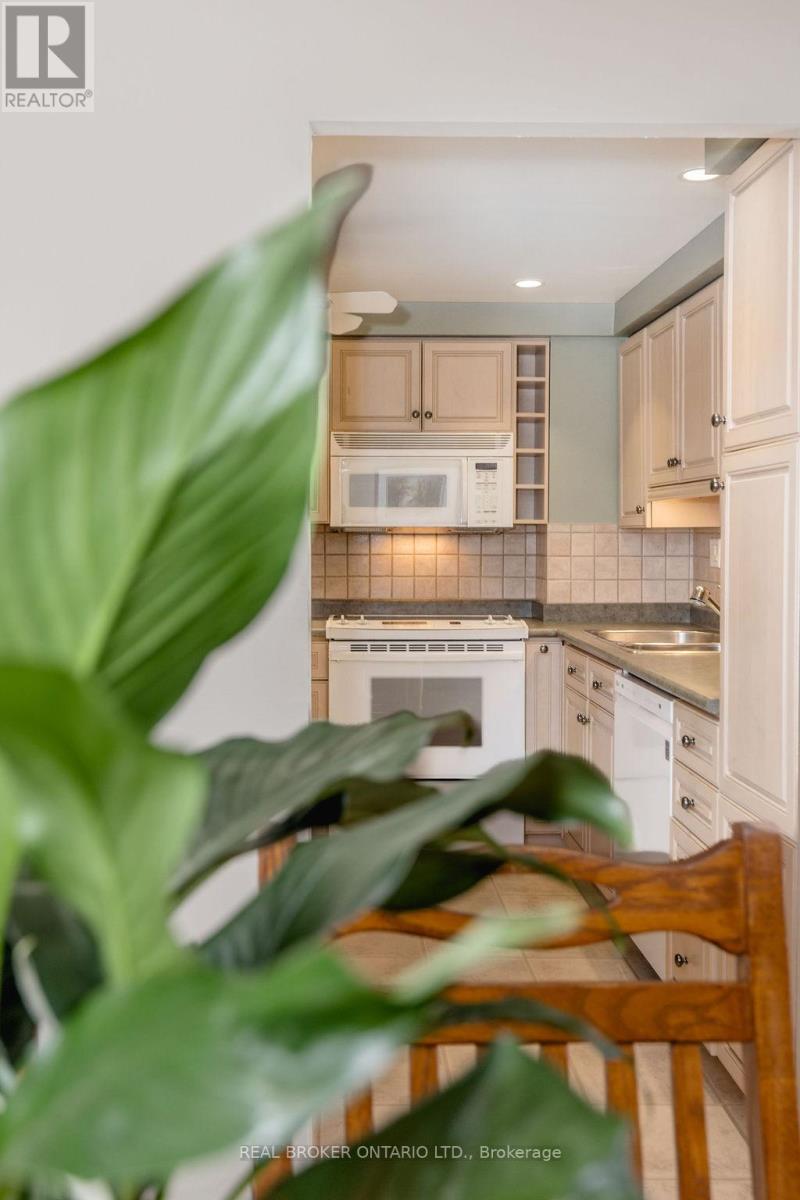 208 - 181 Collier Street, Barrie, Ontario  L4M 5L6 - Photo 21 - S12838090