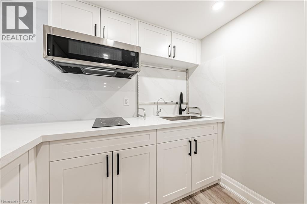 6 Iris Court, Carlisle, Ontario  L0R 1H3 - Photo 36 - 40808558