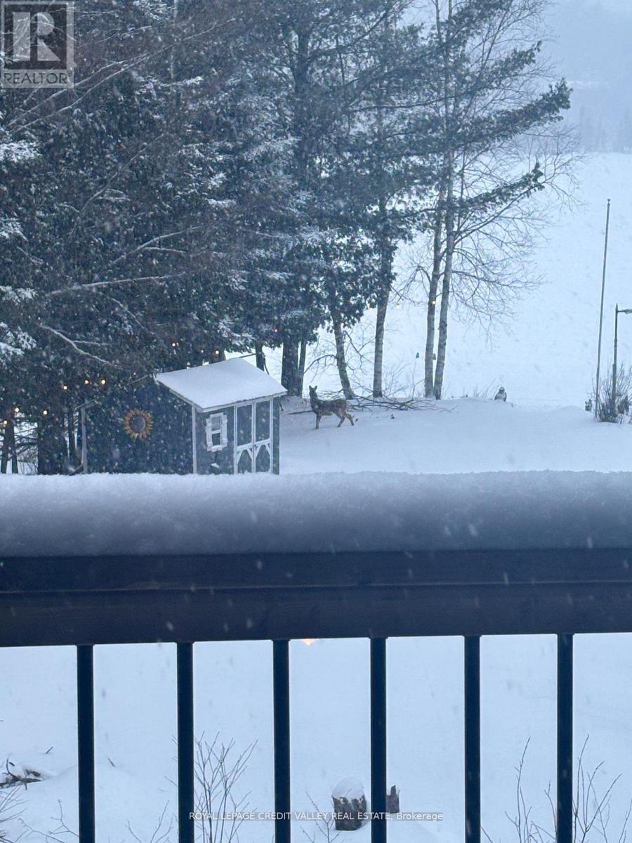 992 South Baptiste Lake Road, Hastings Highlands (Herschel Ward), Ontario  K0L 1C0 - Photo 35 - X12825088