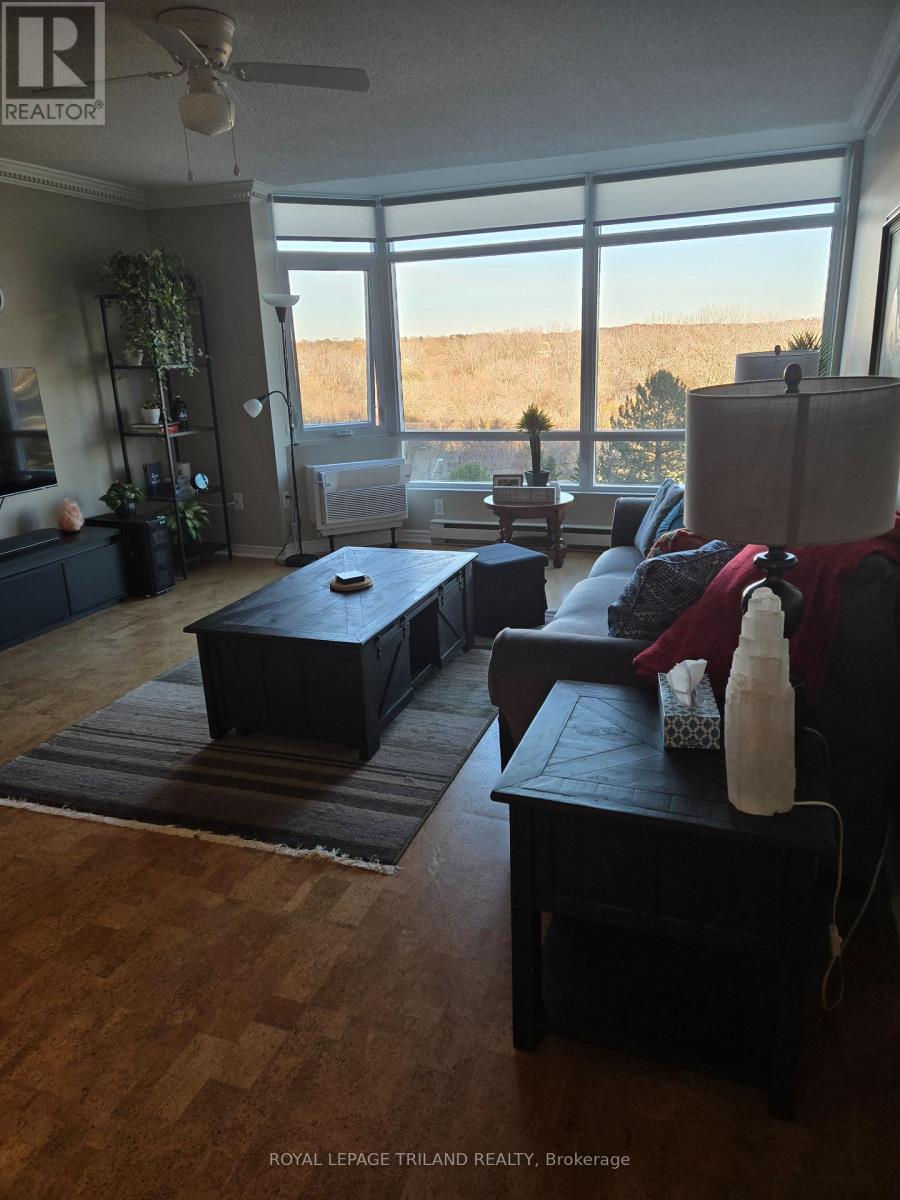 509 - 45 Pond Mills Road, London South, Ontario  N5Z 4W5 - Photo 10 - X12838334