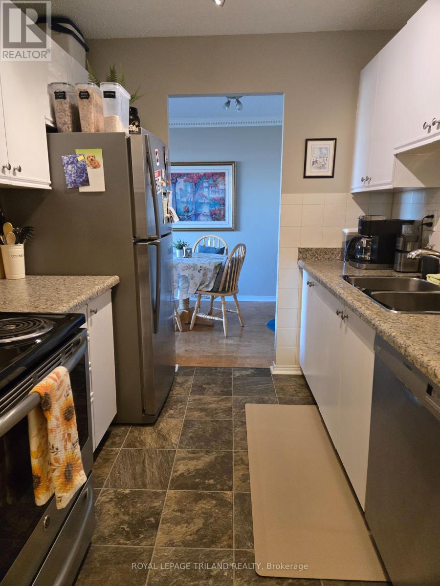 509 - 45 Pond Mills Road, London South, Ontario  N5Z 4W5 - Photo 4 - X12838334