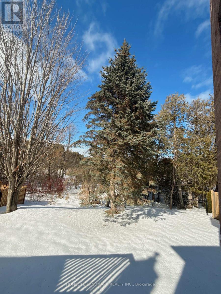 492 Traviss Drive, Newmarket, Ontario  L3Y 7K5 - Photo 36 - N12838208