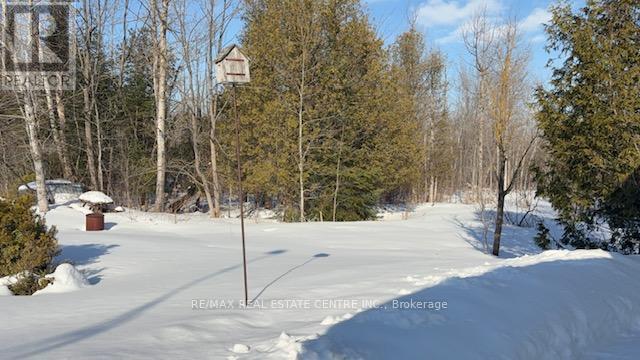 40 Maple Grove Village Road, Southgate, Ontario  N0C 1B0 - Photo 33 - X12838368