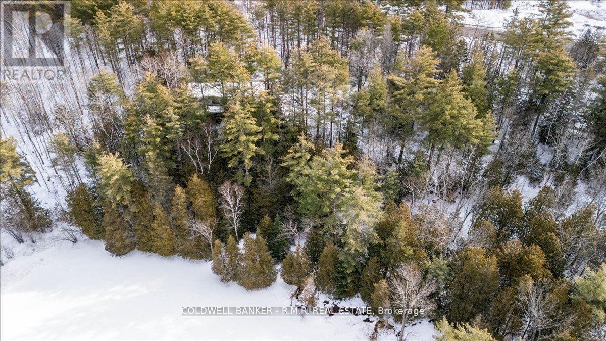 8860 County Rd 41, Addington Highlands (Addington Highlands), Ontario  K0H 1Z0 - Photo 13 - X12838508