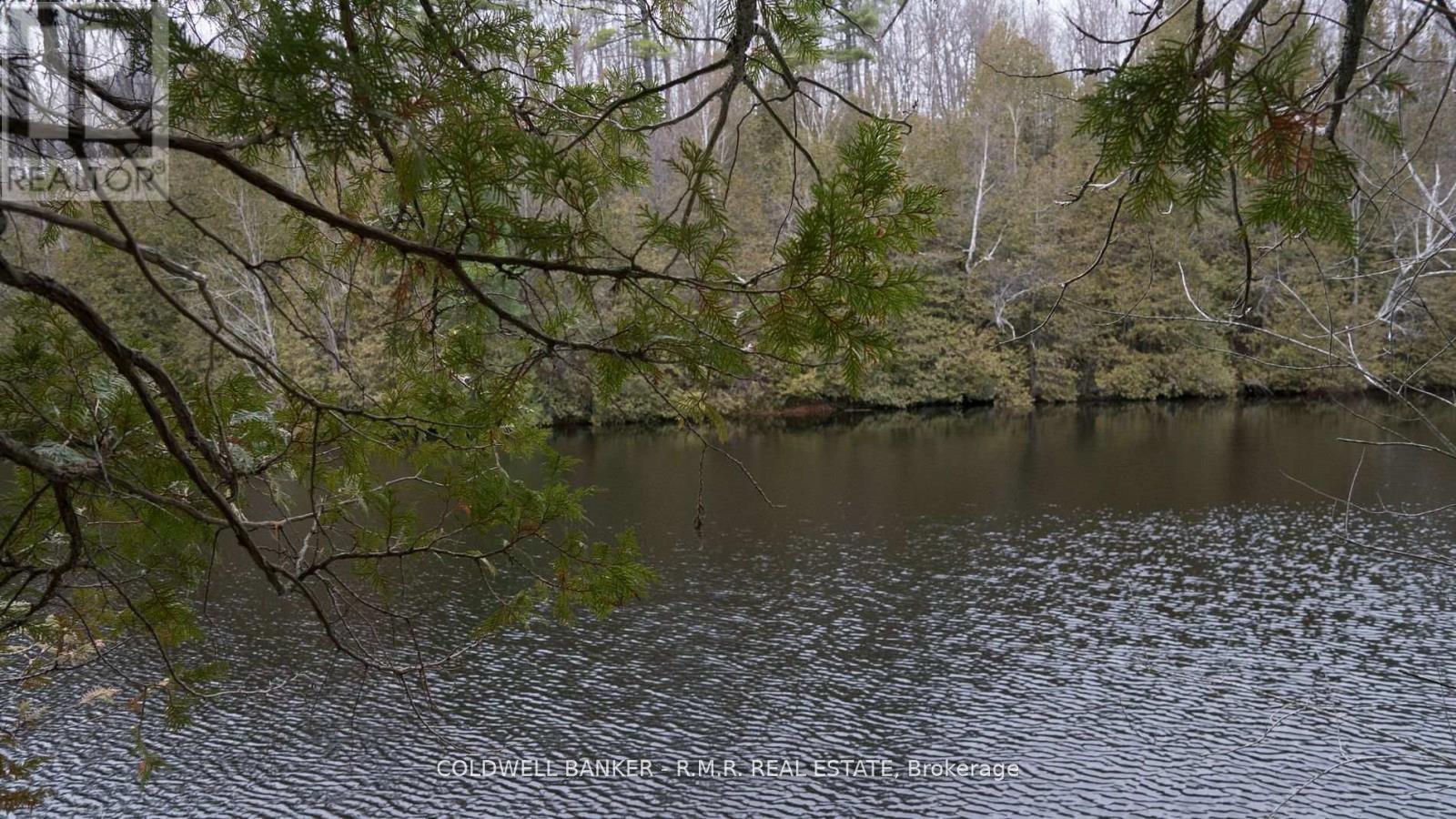 8860 County Rd 41, Addington Highlands (Addington Highlands), Ontario  K0H 1Z0 - Photo 21 - X12838508